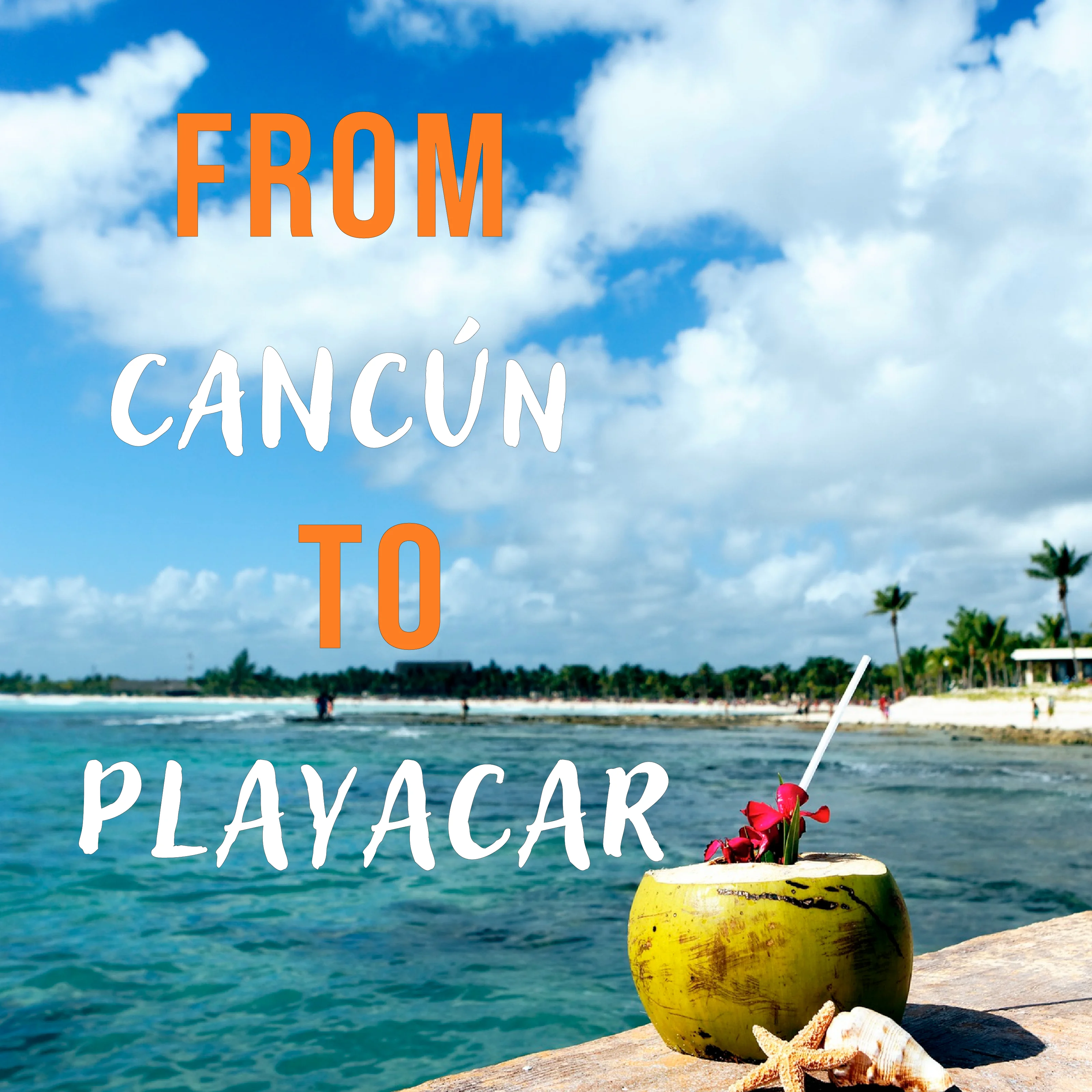Playacar Transfers