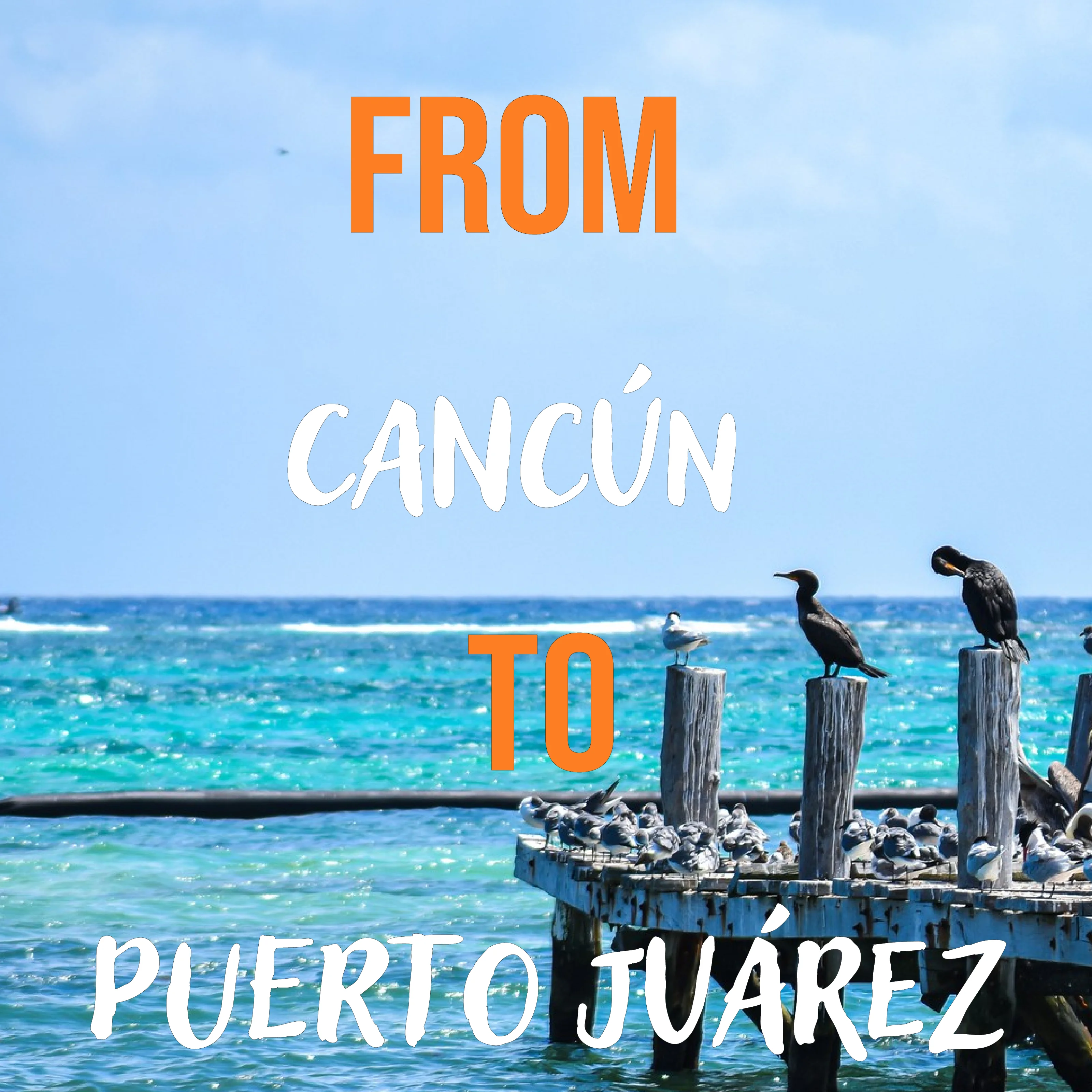 Puerto Juarez Transfers